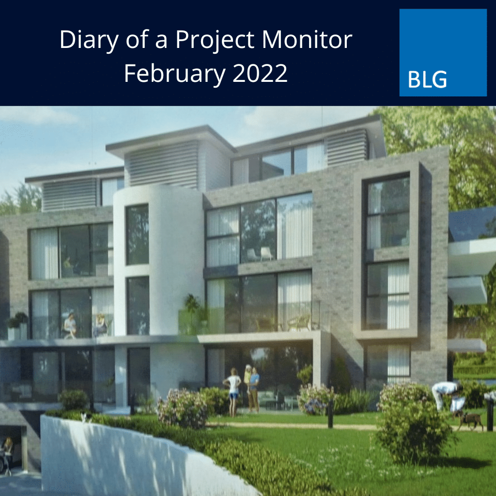 Diary of a project monitor February Graphic